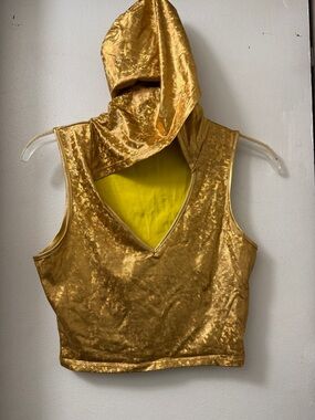 Bear Dance Shimmer Gold Hooded V-Neck Crop Top